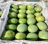 10Kg প্রিমিয়াম হিমসাগর আম – মিষ্টি, রসালো ও আঁশবিহীন
